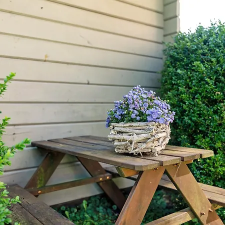 Carolin Apartment Dornstetten